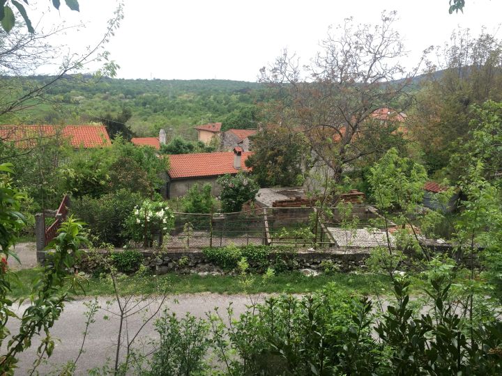 ceroglie_19