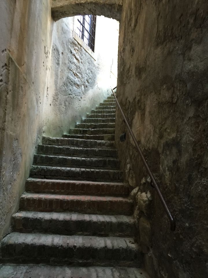 mareevitovska_14