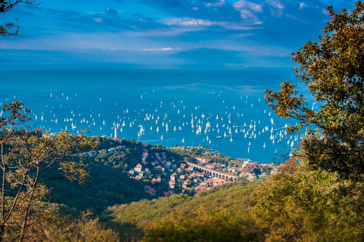barcolana_10