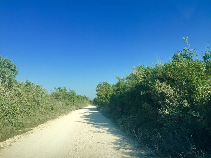 meneghetti_16