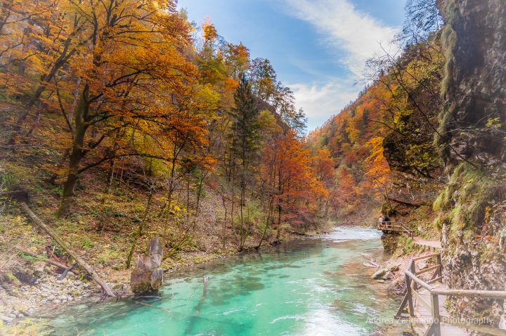 LR_Bled_Vintgar_Gorge-1002