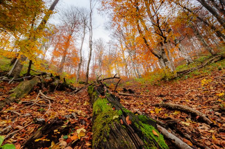 LR_Laghi_Plitvice_Chiara-1000