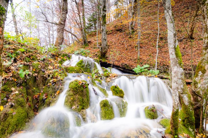 LR_Laghi_Plitvice_Chiara-1006