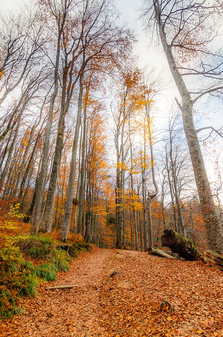 LR_Laghi_Plitvice_Chiara-1009