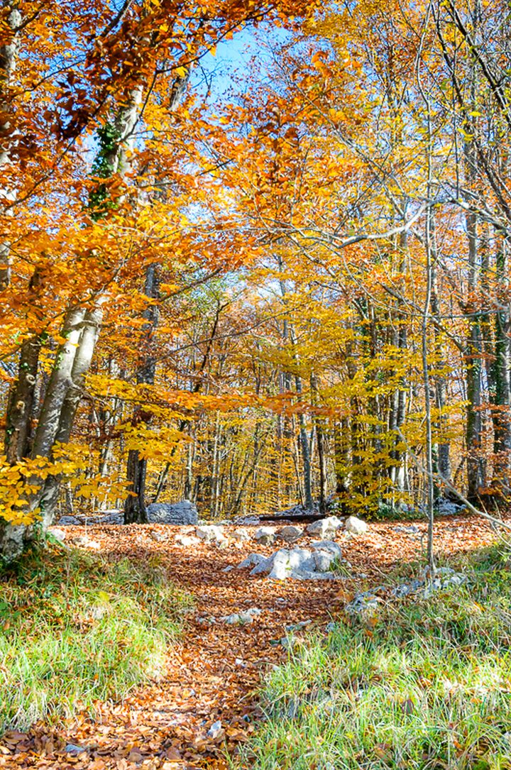 LR_Laghi_Plitvice_Chiara-1013