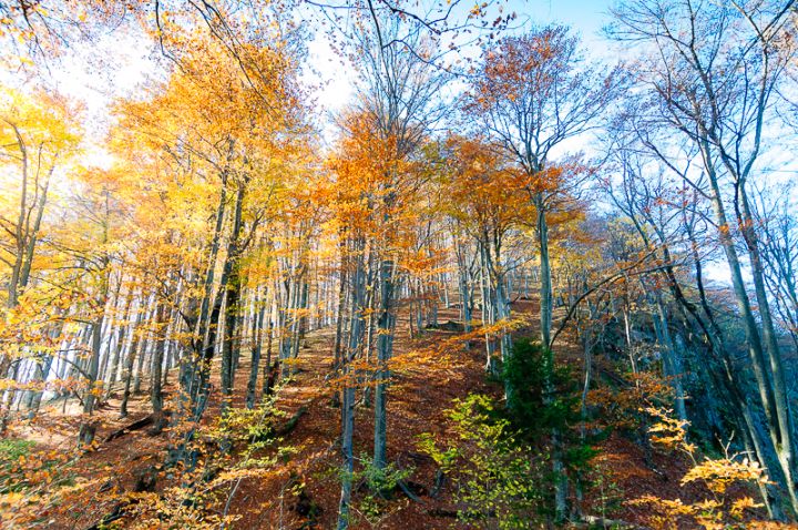 LR_Laghi_Plitvice_Chiara-1016