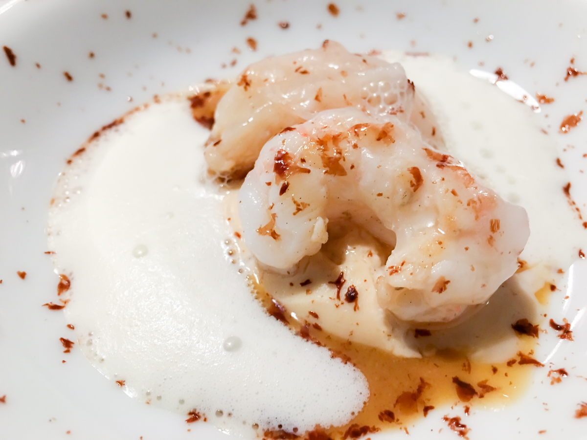 Scampi dell'Adriatico con crema di nocciola e olio