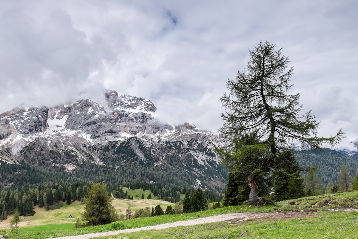 Miss_Claire_Alta_Pusteria_Monte_Specie-2294