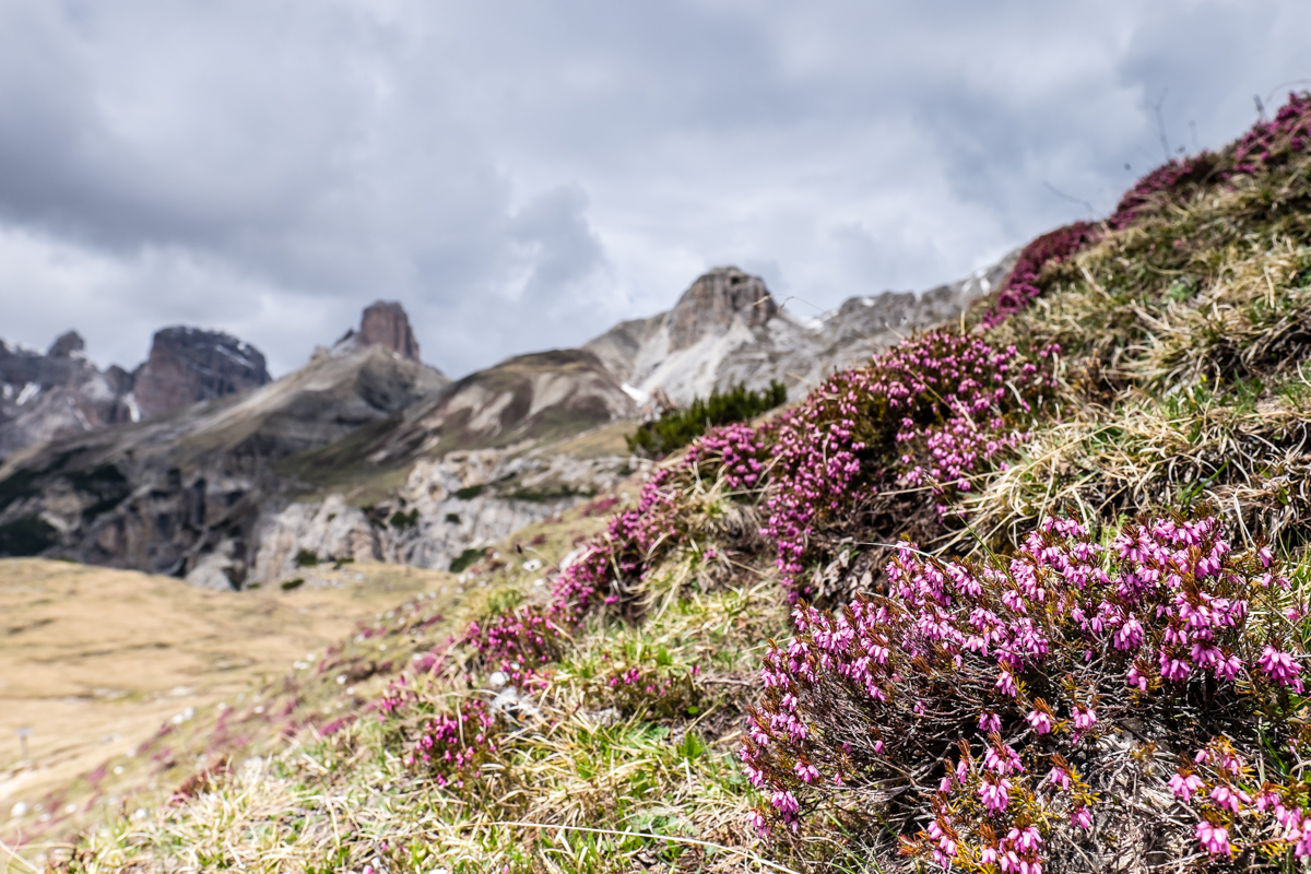 Miss_Claire_Alta_Pusteria_Tre_Cime-1792