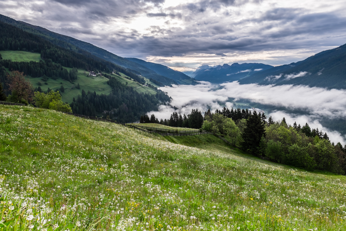 Miss_Claire_Alta_Pusteria_Valle_Verso_Austria-1075