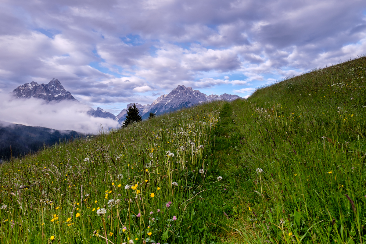 Miss_Claire_Alta_Pusteria_Vicino_Albergo_Almhof-1060