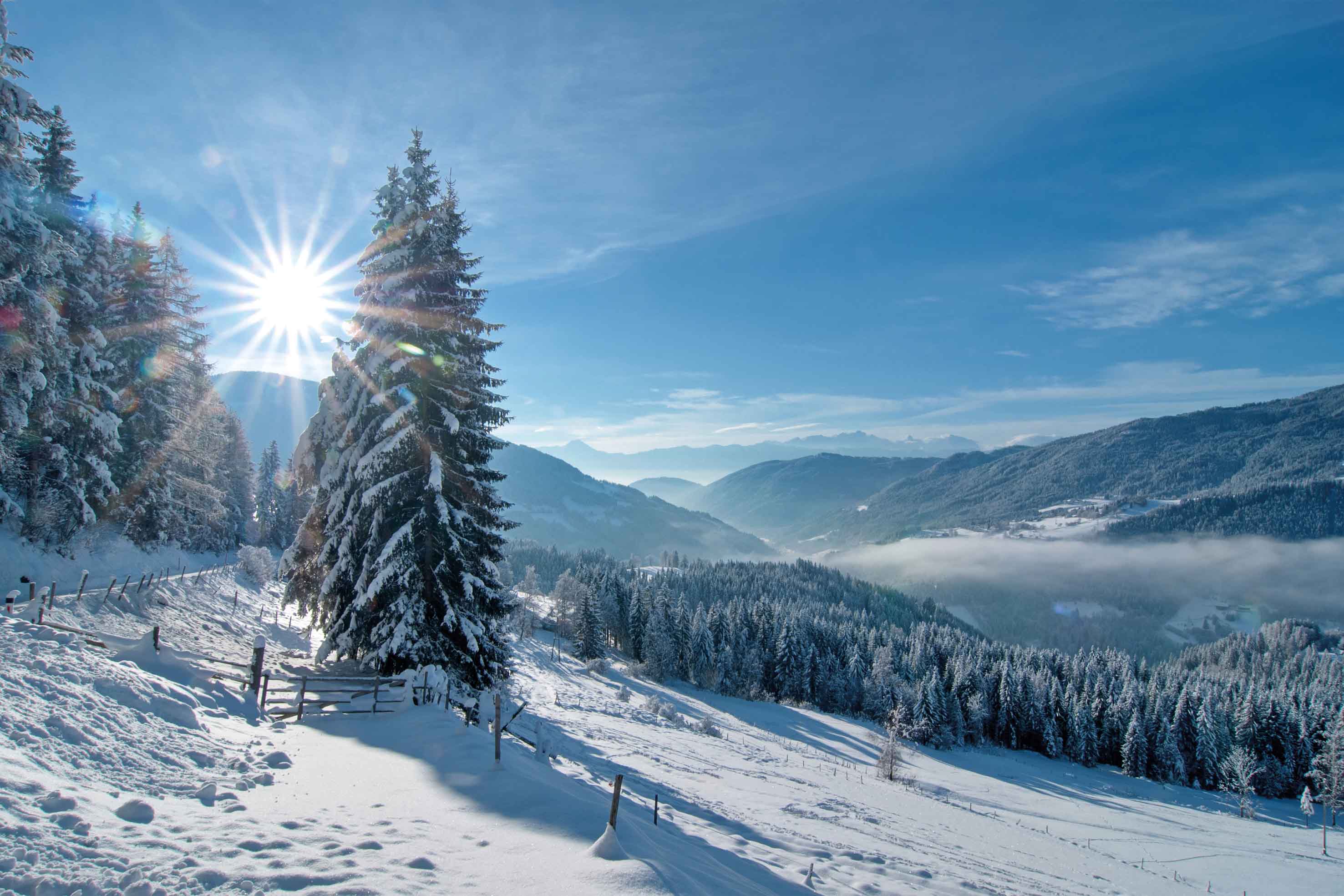 Winter 2012/2013
