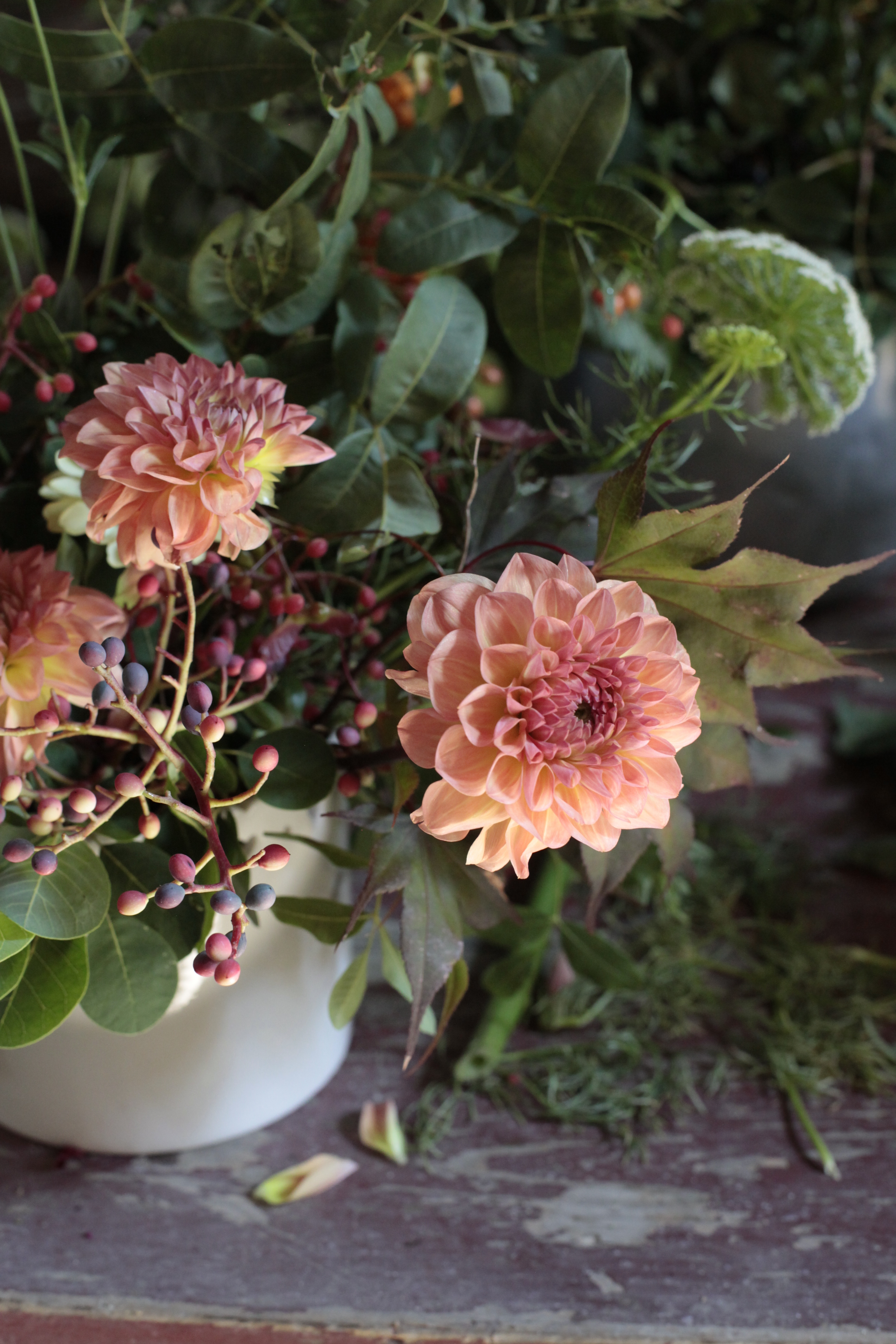 dalia-orange-fukubuki