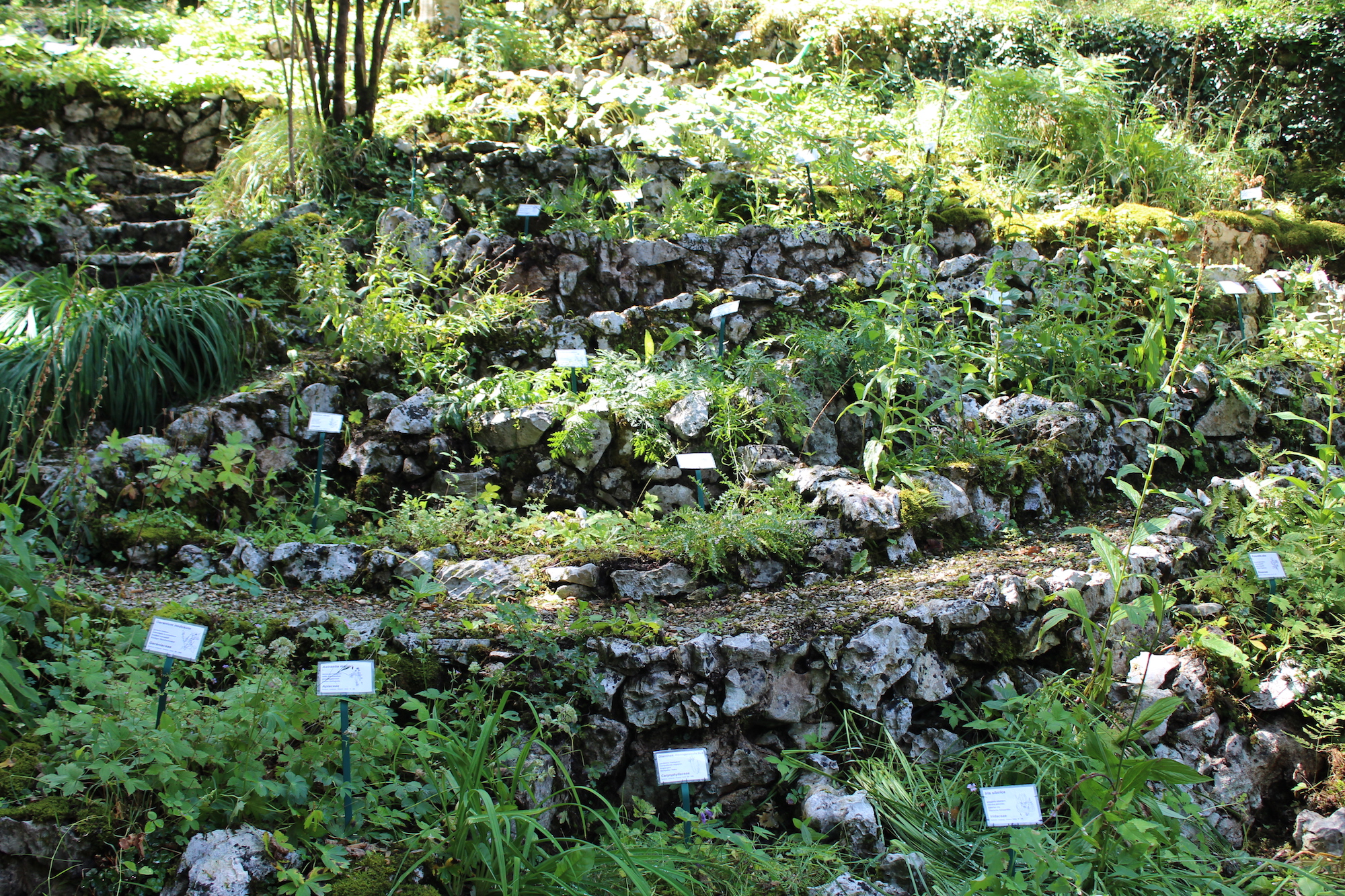 Giardino Botanico Carsiana