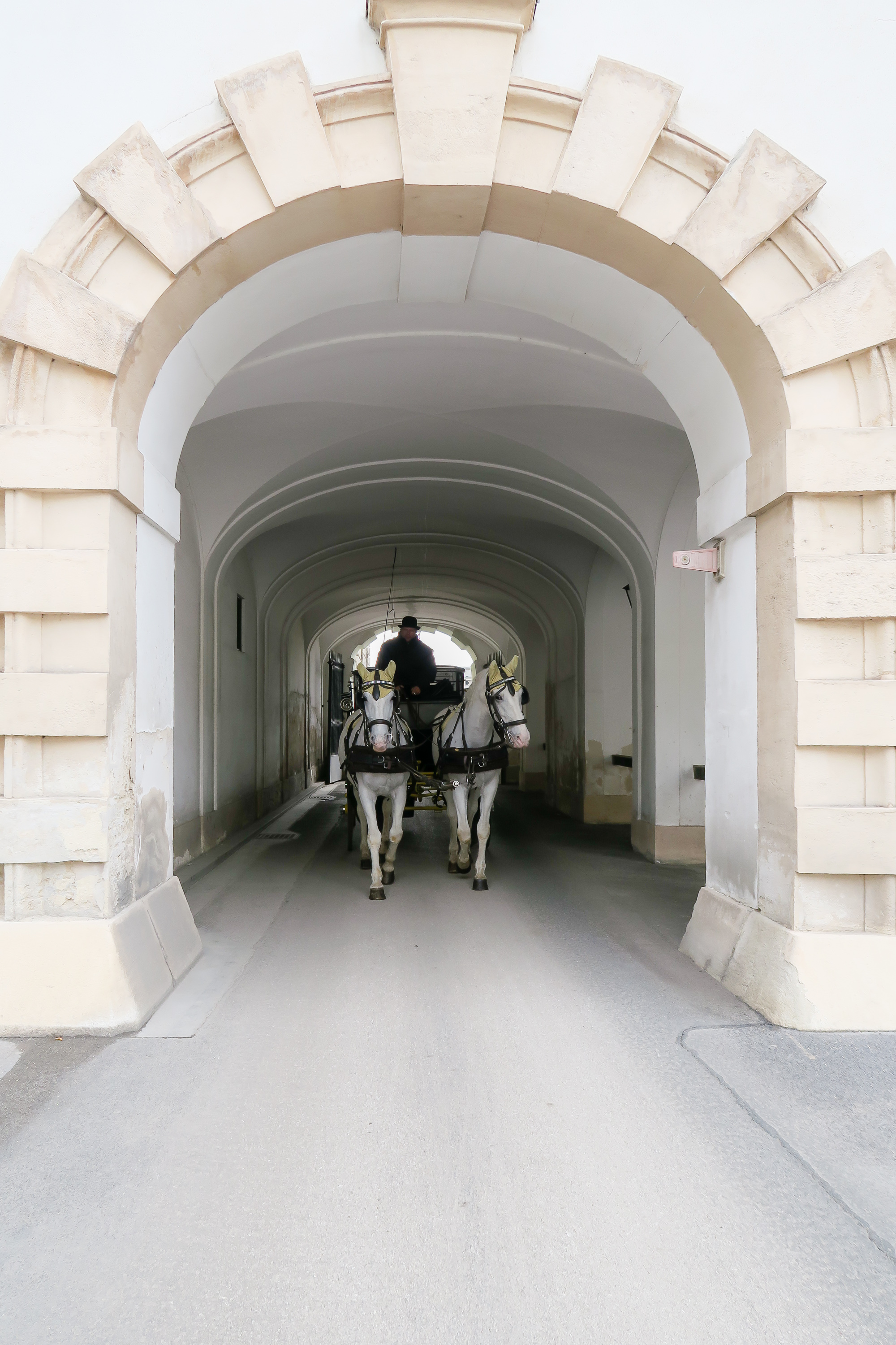 miss_claire_vienna_ii-1005