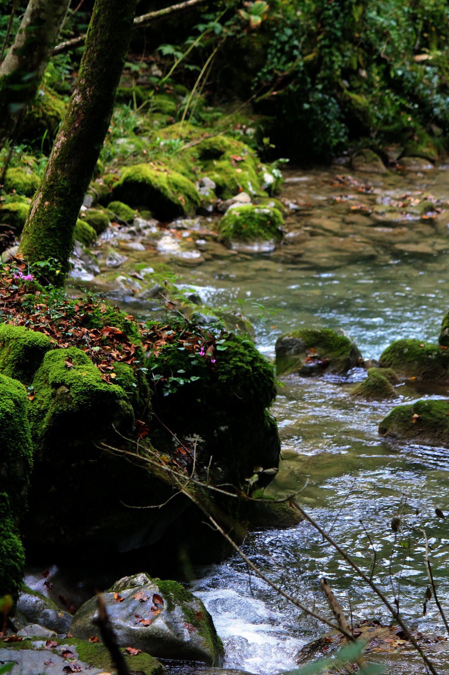 cascata-kot-missclaire1