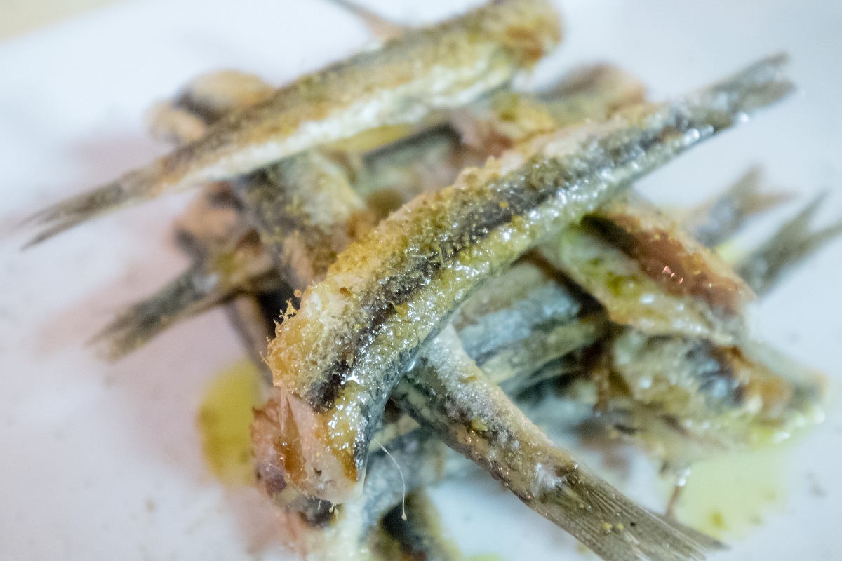 miss_claire_enoteca_sgonico-1239