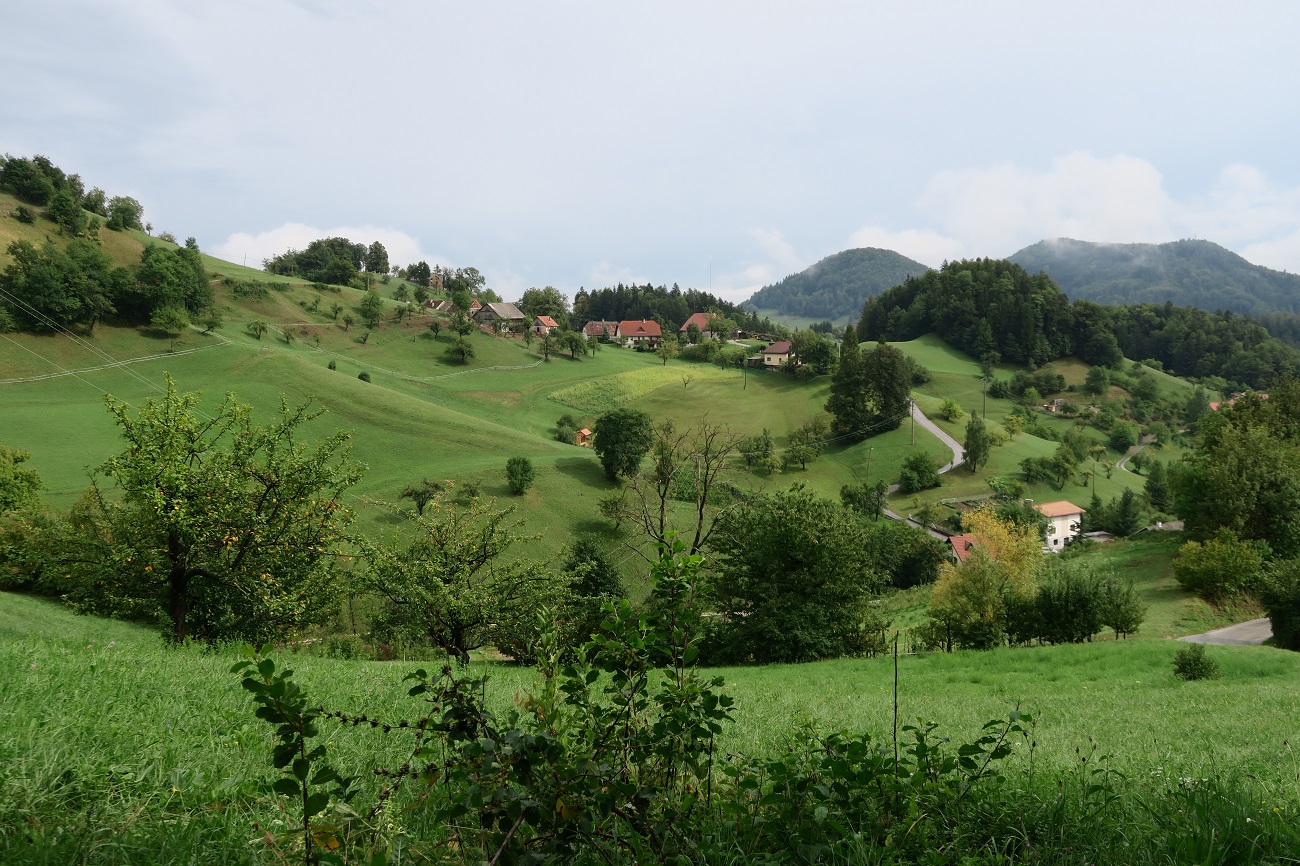 terme-doberna-missclaire-83